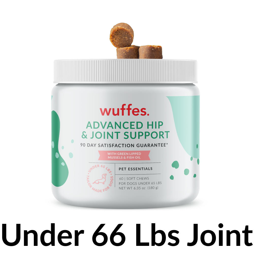 Advanced Hip & Joint Support for Small & Medium Breeds