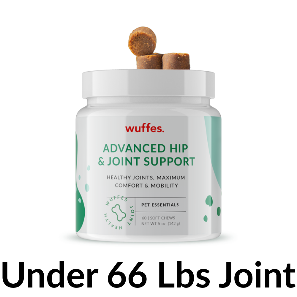 Advanced Hip & Joint Support for Small & Medium Breeds