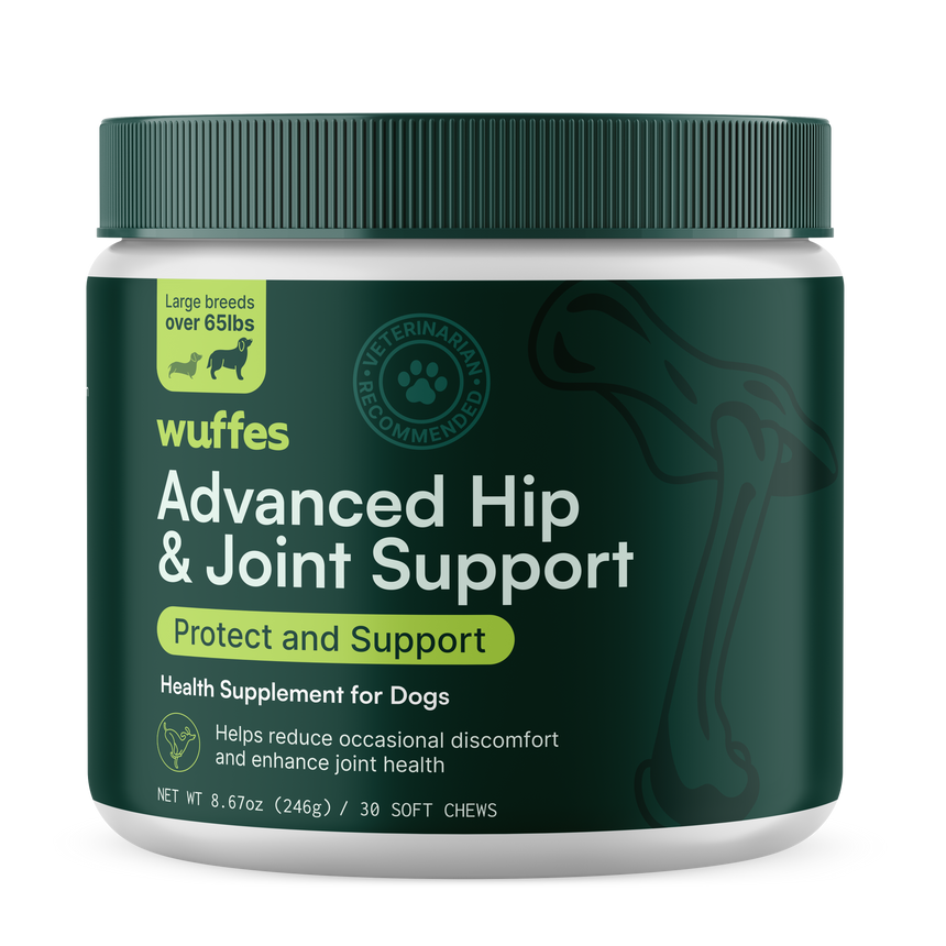 Advanced Hip & Joint Support for Large Breeds