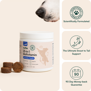 23 in 1 Multivitamin Product Image