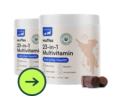23-in-1 Multivitamin